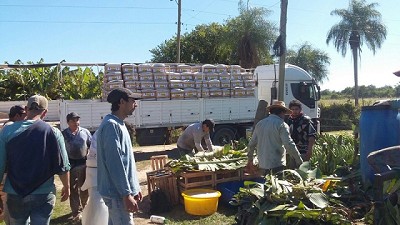 Nuevo mercado de bananas en Formosa