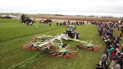 ¿Rollo o megafardo?: un dilema de escala y destino