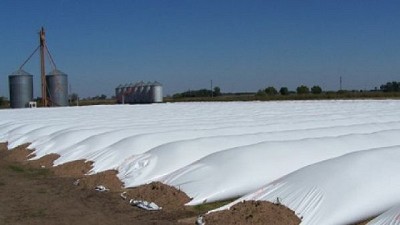 Cómo guardar granos húmedos sin perder calidad