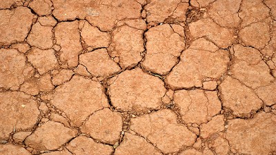 Declaran la emergencia agropecuaria en La Pampa y Buenos Aires