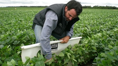 Los fosfitos, un condimento que entusiasma a los agricultores más finos