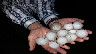 Radio: La fuerte granizada en Salto agravó la situación del rubro frutícola; con M. Camesasca