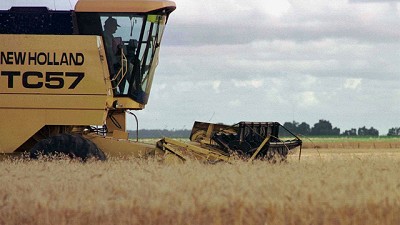 En Chicago, la soja cayó por sexta rueda seguida