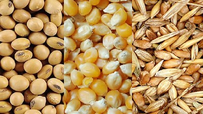 El USDA ajusta a la baja la producción mundial de Cereales 2018/2019