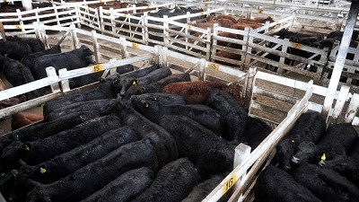 Liniers: Entrada importante con plaza firme