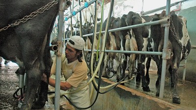 Dólar y costos: la agricultura, el tambo y la ganadería ante la devaluación