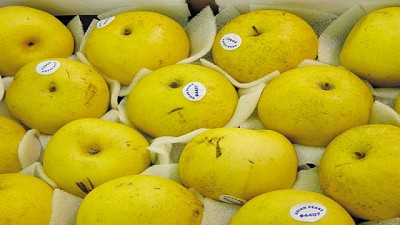 Los alimentos argentinos muestran signos de crecimiento en las exportaciones