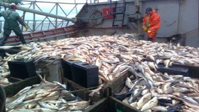 Argentina suma iniciativas en el plano regional para combatir la pesca ilegal