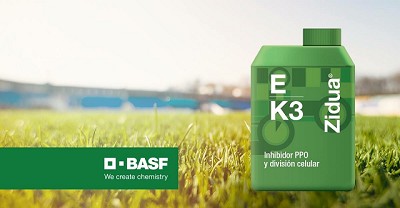 BASF presentó Zidua®, un innovador herbicida para maíz y soja