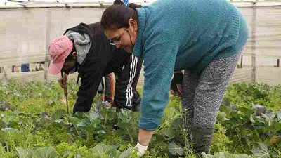 Está disponible un fondo rotatorio hortícola en la Provincia