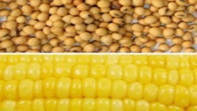 UPL comenzó a formular nuevos productos en su planta argentina