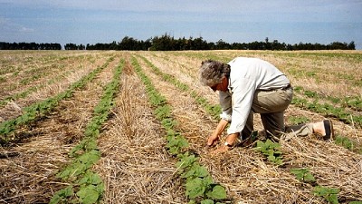 Córdoba: cien millones de pesos para impulsar las buenas prácticas agrícolas