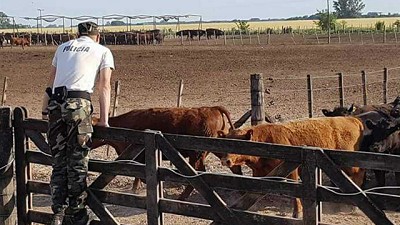 Productores alertan por la inseguridad rural en el norte bonaerense