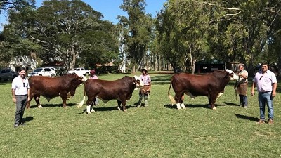 La cabaña como punto de partida de toda una cadena productiva
