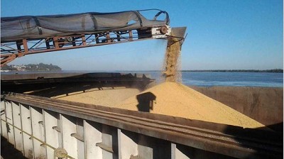 Con la pelea entre China y EE.UU. de fondo, soja tocó mínimo en 27 meses