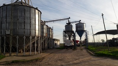 Continúan los controles en los sectores de granos y lácteos