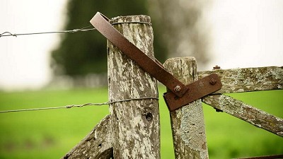 La actividad inmobiliaria rural cayó 37,93 puntos en mayo 