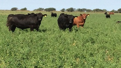 DT-e: el trámite debe ser por autogestión cuando intervenga un consignatario