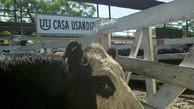 Liniers: Hacienda de campo con precios acordes a la calidad