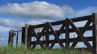 El campo, motor del país, necesita reglas claras, por Daniel Pelegrina