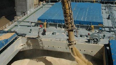 Se agilizan operaciones de compraventa de granos