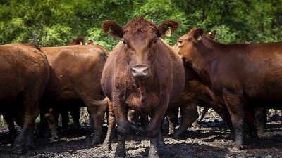 Que no nos paralice la rabia