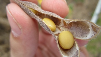 En Buenos Aires lanzaron la Mesa Provincial de Extrusores