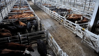 Mercado de Liniers: el ingreso estuvo condicionado por el paro general