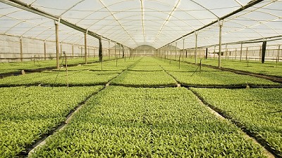 El Senasa simplificó la inscripción en su registro de viveristas