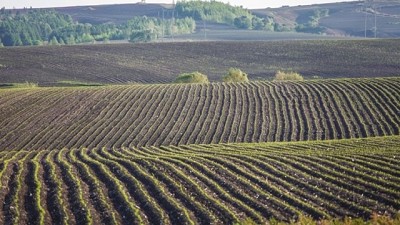 China sigue los pasos de Argentina para la conservación de suelos