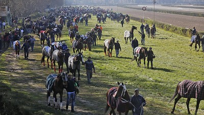 Inusual protesta de la actividad del turf por una medida de la gobernadora Vidal
