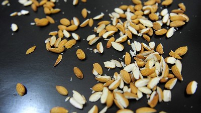 Un cultivo de moda y muy rentable