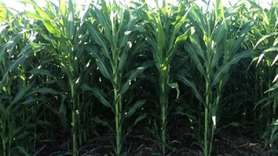 Tecnología para conservar y recuperar los suelos