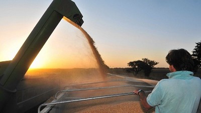 Se espera un fuerte crecimiento en los rindes de la región en la próxima década