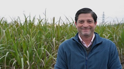 La soja, una nueva aliada de la caña en las rotaciones