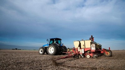 Zona núcleo: la siembra de trigo es la más importante en 16 años