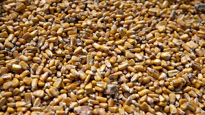 Más volumen y mejores precios para cereales y oleaginosas