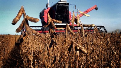 Cae la rentabilidad de los granos gruesos 2018/2019