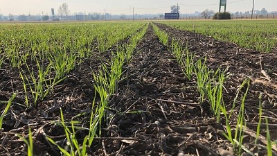 El Niño que esperan el campo y el Gobierno llegaría en octubre