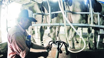 Una tendencia que preocupa: estiman que en un año cerraron más de 450 tambos