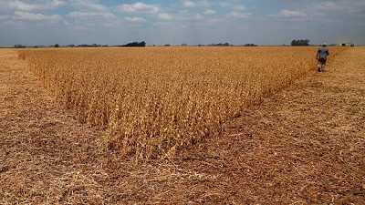 Cambio climático: estrategias entre países para enfrentar un pronóstico catastrófico