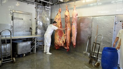 Ganadería. Aunque quedó eliminado, Uruguay es el campeón mundial