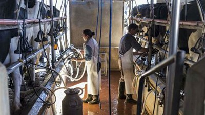 Con miedo a quedarse en el camino: así viven la crisis los tamberos