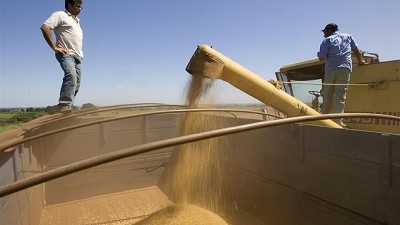 El USDA proyecta una mayor cosecha de soja en EE.UU., Brasil y Argentina