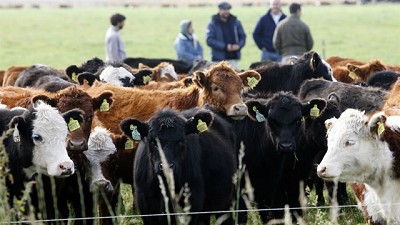 Efecto carne: se generan 10.000 empleos nuevos cada 100.000 toneladas exportadas