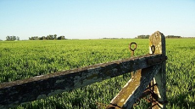 Estiman que los precios de los campos cayeron un 10% durante el primer semestre