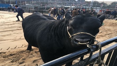 Mbappé, fue el primero en llegar a La Rural