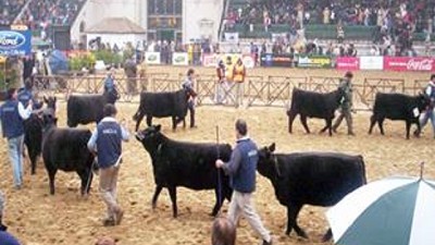 Radio:  “Palermo será la frutilla del postre del Boom Ganadero