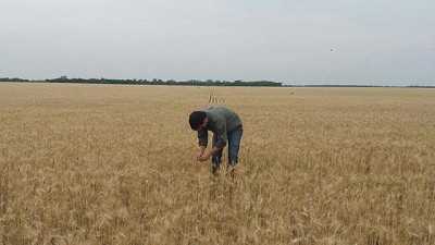 A 10 años de la 125: tras el voto 