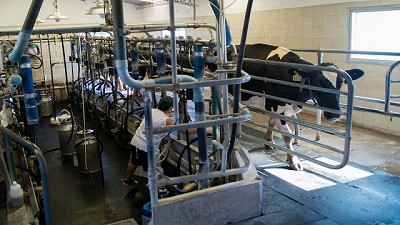 Taller de hubs logísticos y de financiamiento para la cadena láctea